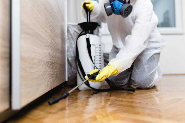 Best Commercial Pest Control Services  in Bret Harte, CA