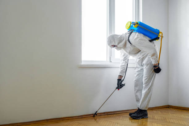 Best Emergency Pest Control  in Bret Harte, CA